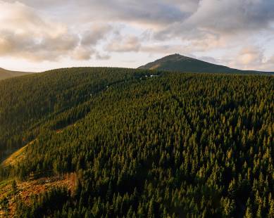 Świetna lokalizacja|place.png